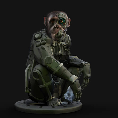 “Primal Circuit”