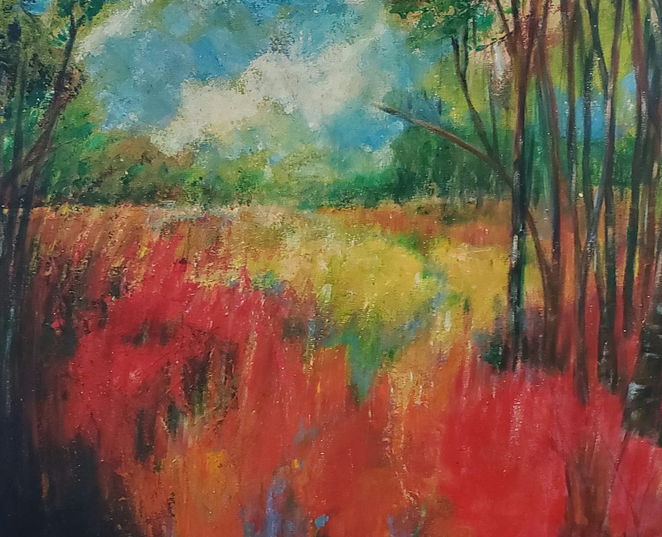 A wonderfull landscape